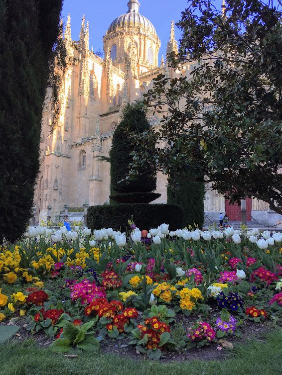 Cathedral, Salamanca, Spain